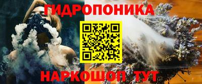 Альфа ПВП Дубна