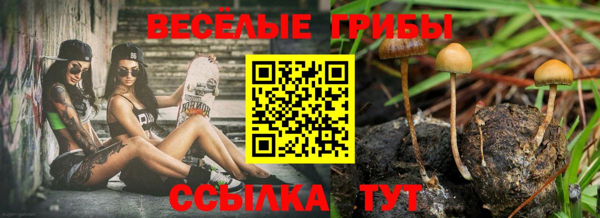 Галлюциногенные грибы прущие грибы  Вход с VPN  Горно-Алтайск 