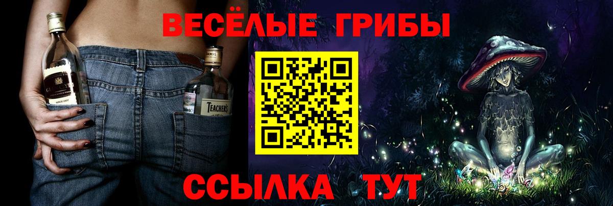 Галлюциногенные грибы MAGIC MUSHROOMS Горно-Алтайск